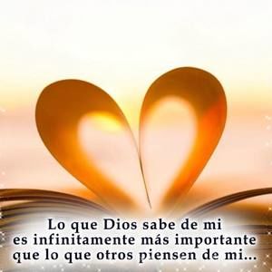 Meet your Posher, Ada iris